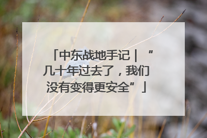 中东战地手记｜“几十年过去了，我们没有变得更安全”