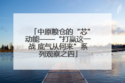 中原粮仓的“芯”动能——“打赢这一战 底气从何来”系列观察之四
