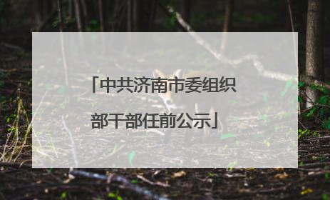 中共济南市委组织部干部任前公示