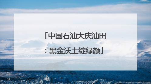 中国石油大庆油田：黑金沃土绽绿颜