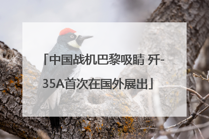 中国战机巴黎吸睛 歼-35A首次在国外展出