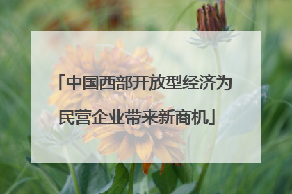 中国西部开放型经济为民营企业带来新商机