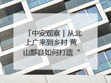 中安观察｜从北上广来到乡村 黄山黟县如何打造“数字游民”的“桃花源”？