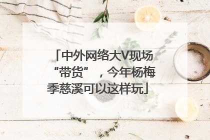 中外网络大V现场“带货”，今年杨梅季慈溪可以这样玩
