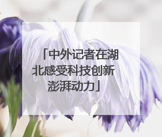 中外记者在湖北感受科技创新澎湃动力