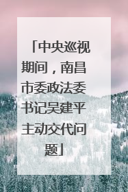 中央巡视期间，南昌市委政法委书记吴建平主动交代问题