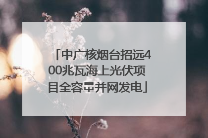 中广核烟台招远400兆瓦海上光伏项目全容量并网发电