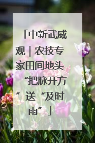 中新武威观｜农技专家田间地头“把脉开方”送“及时雨”