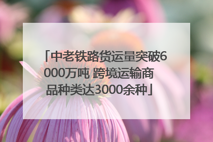 中老铁路货运量突破6000万吨 跨境运输商品种类达3000余种