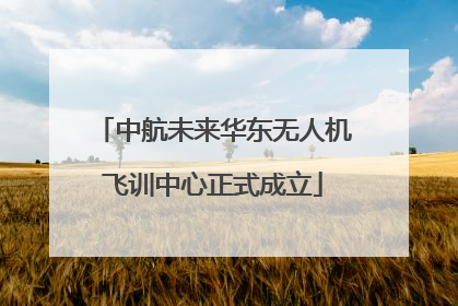 中航未来华东无人机飞训中心正式成立
