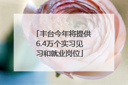 丰台今年将提供6.4万个实习见习和就业岗位