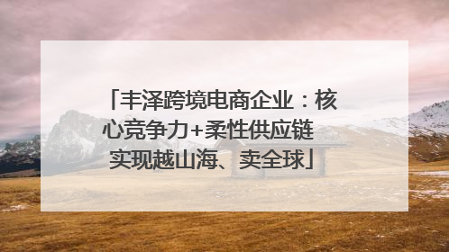 丰泽跨境电商企业：核心竞争力+柔性供应链 实现越山海、卖全球