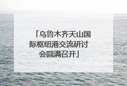乌鲁木齐天山国际枢纽港交流研讨会圆满召开
