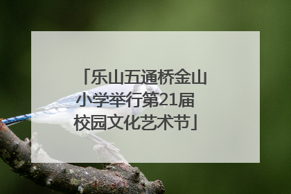 乐山五通桥金山小学举行第21届校园文化艺术节