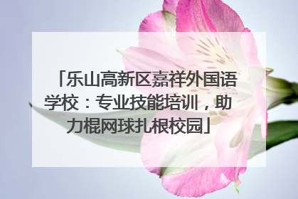 乐山高新区嘉祥外国语学校：专业技能培训，助力棍网球扎根校园