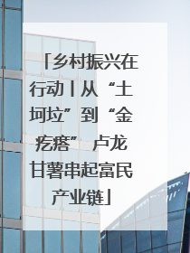 乡村振兴在行动丨从“土坷垃”到“金疙瘩” 卢龙甘薯串起富民产业链