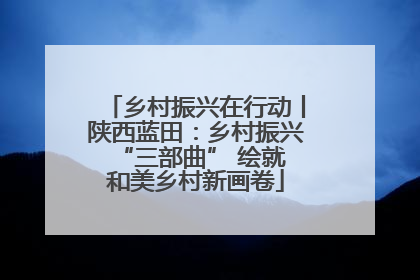 乡村振兴在行动丨陕西蓝田：乡村振兴 “三部曲” 绘就和美乡村新画卷