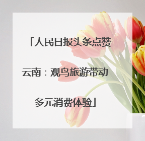 人民日报头条点赞云南：观鸟旅游带动多元消费体验