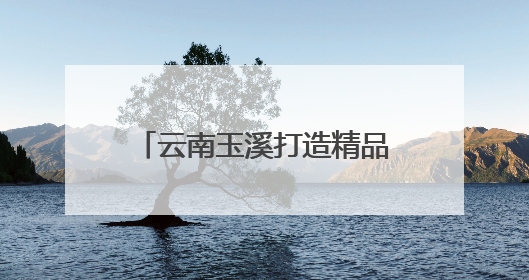 云南玉溪打造精品“云花”产区 蝴蝶兰飘香东南亚