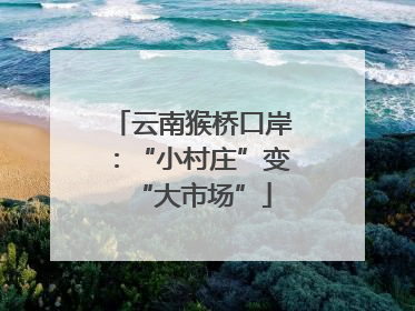 云南猴桥口岸：“小村庄”变“大市场”