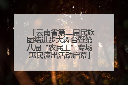 云南省第二届民族团结进步大舞台暨第八届“农民工”专场惠民演出活动启幕