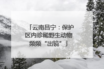 云南昌宁：保护区内珍稀野生动物频频“出镜”