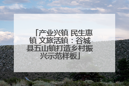 产业兴镇 民生惠镇 文旅活镇：谷城县五山镇打造乡村振兴示范样板