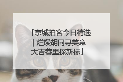 京城拍客今日精选｜烂缦胡同寻美意 大吉巷里探新标