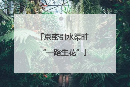京密引水渠畔“一路生花”