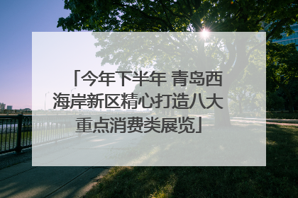 今年下半年 青岛西海岸新区精心打造八大重点消费类展览