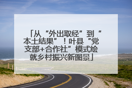 从“外出取经”到“本土结果”！叶县“党支部+合作社”模式绘就乡村振兴新图景