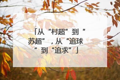 从“村超”到“苏超”，从“追球”到“追求”