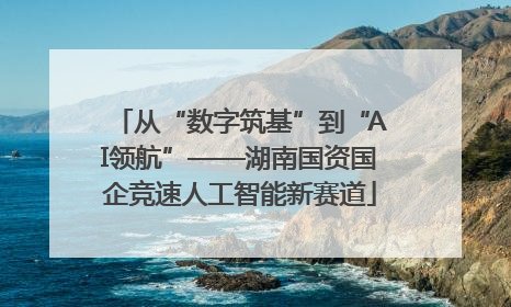 从“数字筑基”到“AI领航”——湖南国资国企竞速人工智能新赛道