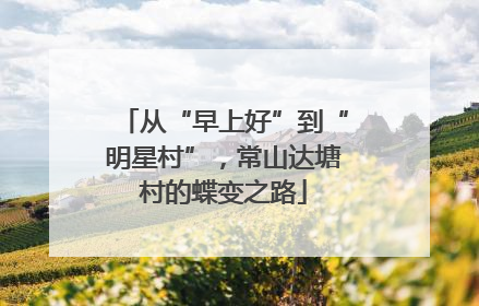 从“早上好”到“明星村”，常山达塘村的蝶变之路