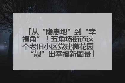 从“隐患地”到“幸福角”！五角场街道这个老旧小区党建微花园“靓”出幸福新图景