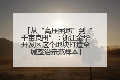 从“高压困地”到“千亩良田”：浙江金华开发区这个地块打造全域整治示范样本
