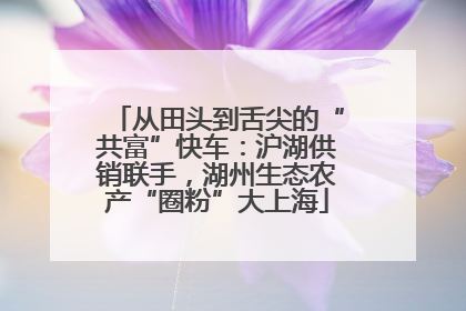 从田头到舌尖的“共富”快车：沪湖供销联手，湖州生态农产“圈粉”大上海