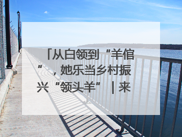 从白领到“羊倌”，她乐当乡村振兴“领头羊”｜来长沙 创未来