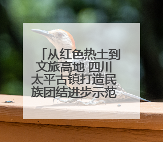 从红色热土到文旅高地 四川太平古镇打造民族团结进步示范样本