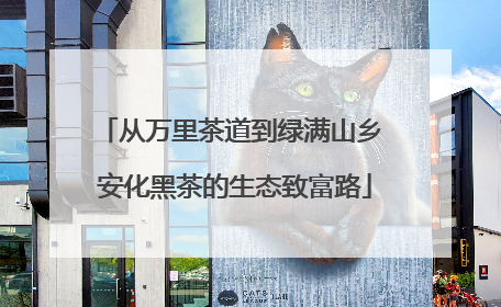 从万里茶道到绿满山乡 安化黑茶的生态致富路