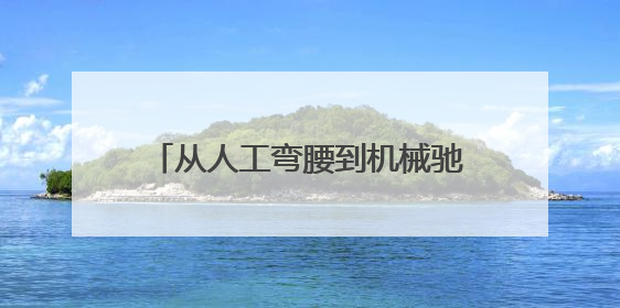 从人工弯腰到机械驰骋 即墨蓝村水稻种植开启智能农耕新模式