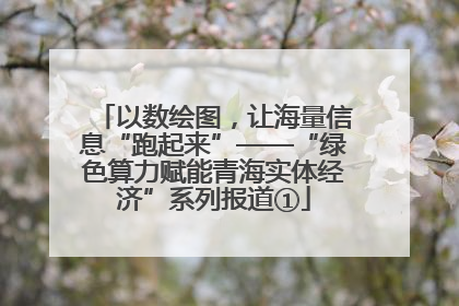 以数绘图，让海量信息“跑起来”——“绿色算力赋能青海实体经济”系列报道①