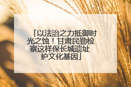 以法治之力抵御时光之蚀！甘肃民勤检察这样保长城遗址 护文化基因
