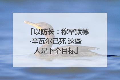 以防长：穆罕默德·辛瓦尔已死 这些人是下个目标