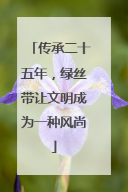 传承二十五年，绿丝带让文明成为一种风尚