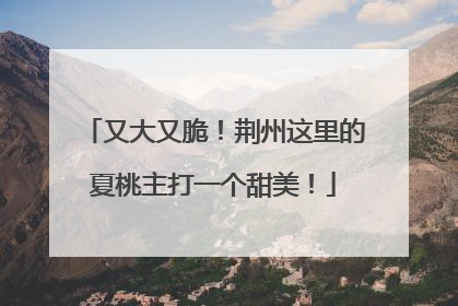 又大又脆！荆州这里的夏桃主打一个甜美！