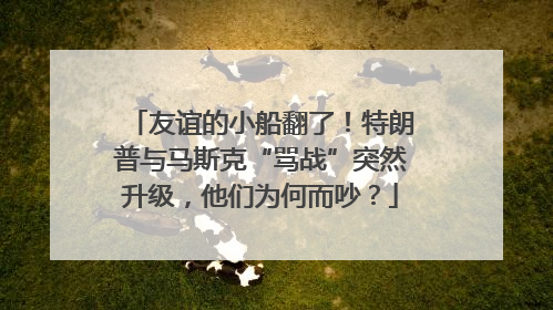 友谊的小船翻了！特朗普与马斯克“骂战”突然升级，他们为何而吵？