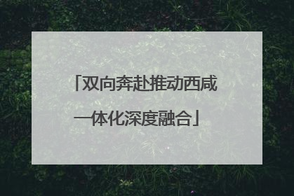 双向奔赴推动西咸一体化深度融合