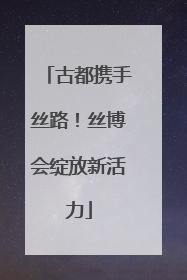 古都携手丝路！丝博会绽放新活力