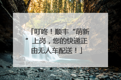 叮咚！顺丰“萌新”上岗，您的快递正由无人车配送！
